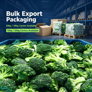 Fleurs de <span class=keywords><strong>brocoli</strong></span> surgelées IQF, coupées fraîchement cueillies, légumes verts naturels, pour la restauration, la transformation alimentaire, vente en gros, exportation - Product Image 4