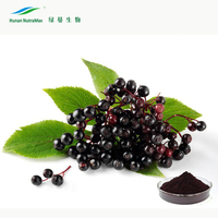Chinese fabrikant hoogwaardig puur natuurlijk zwart vlierbessenextract poeder polyfenolen 10%