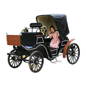 Vente flash : Décoration de Noël en plein air, calèche à chevaux et calèche électrique pour la visite des sites touristiques - Product Image 1