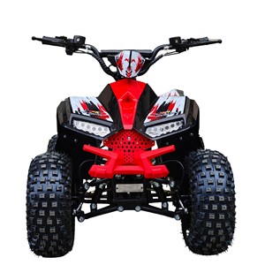 Batterie <span class=keywords><strong>48V</strong></span> 20Ah, moteur 800W, <span class=keywords><strong>quad</strong></span> <span class=keywords><strong>électrique</strong></span>, ATV <span class=keywords><strong>électrique</strong></span>, quadricycle <span class=keywords><strong>électrique</strong></span>, cuatrimoto, quadriciclo, elektro <span class=keywords><strong>quad</strong></span> - Product Image 4