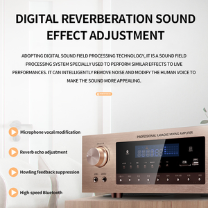 เครื่องขยายเสียงคาราโอเกะไร้สายคุณภาพสูง รุ่น Power Diamond Platnumz พร้อมตัวรับสัญญาณเพลงและอุปกรณ์ - Product Image 5