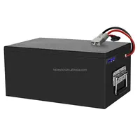 Lifepo4 Golf Cart Battery Pack with Bms Charger