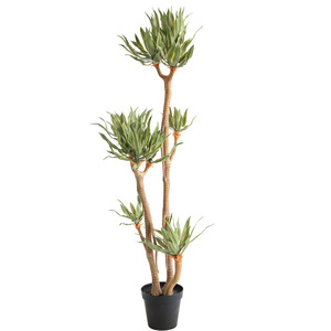 Agave Artificielle en Plastique Souple, Arbre Tropical en Pot <span class=keywords><strong>100</strong></span>-200cm, Décoration Commerciale pour Hôtels, Centres Commerciaux, Cours et Aménagements Paysagers - Product Image 5