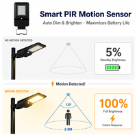 Lampe solaire de rue PRO 20W 3000lm avec capteur de mouvement PIR, 3 températures de couleur, du crépuscule à l'aube, IP65, pour campus et parking, garantie 3 ans
