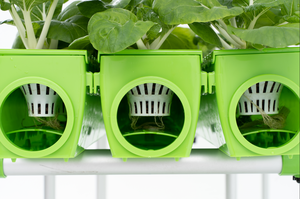 ระบบ aquaponic อัตโนมัติหลายชั้นสำหรับการปลูกผักและปลาขนาดใหญ่สำหรับเรือนเพาะปลูกทางการเกษตร - Product Image 4