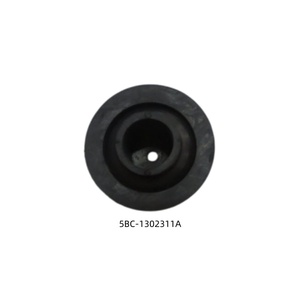 Nouveau silentbloc suspendu d'origine pour radiateur 12027143-00 5BC-1302311A pour BYD DENZA D9EV/SONG L,PRO,PLUS/SEANLION07/HANEV/QIN - Product Image 1