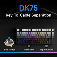 EWEADN DK75 Clavier mécanique 75% Mini clavier de jeu portable à interrupteur bleu mécanique avec LED RGB rétro-éclairé