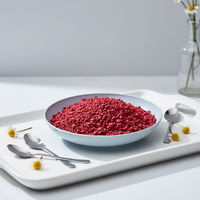 Groothandel FD Fruit Frambozenblokjes Zonder Toegevoegde Suiker Gezonde Snack in Bulk Vacuümverpakking Uit China