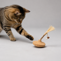 Jouet interactif pour chat en liège avec bouchon remplaçable pour jeu d'intérieur