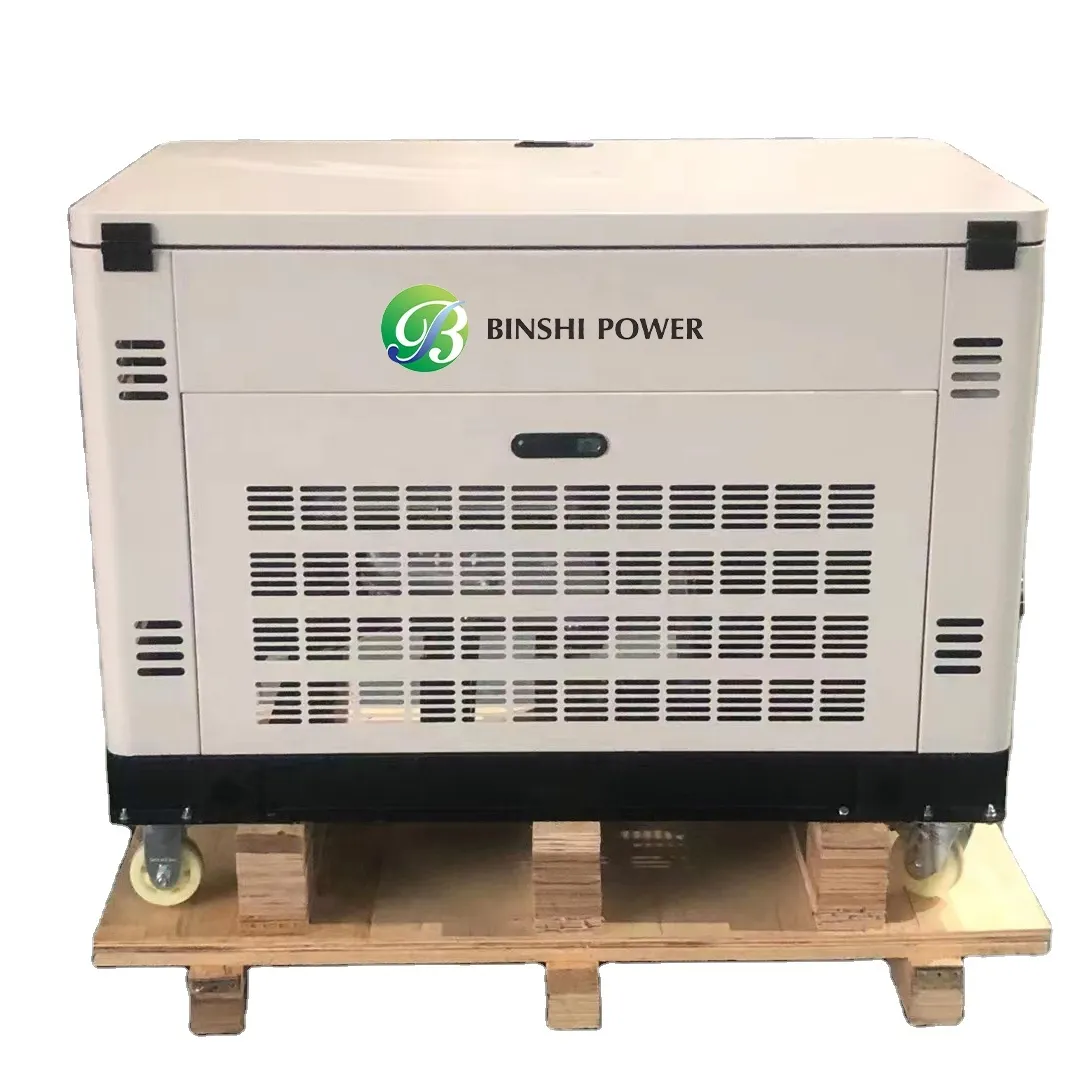 Alta Qualidade 30KW 33KW Única ou 3 Fase Silenciosa Dupla Combustível Portátil Gerador Conjunto Natural Gás Biogás LPG Gasolina Gasolina Genset