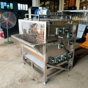 Automated Poultry Duck <strong>Chicken</strong> Goose <strong>Plucker</strong> and Scalder Machine Scalding Plucking Machine Slaughter Equipment for Sale - Product Image 4