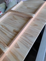 Bain de glace en bois moderne de luxe pour usage commercial et domestique, de haute qualité, en bois, pour 1 ou 2 personnes, pour la maison, la salle de sport, pour adultes