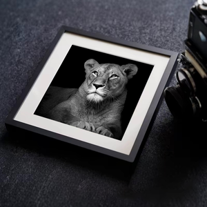 <span class=keywords><strong>Cadre</strong></span> <span class=keywords><strong>photo</strong></span> mural en plastique personnalisé A3 noir et blanc, <span class=keywords><strong>cadre</strong></span> <span class=keywords><strong>photo</strong></span> en PVC <span class=keywords><strong>pour</strong></span> affiche <span class=keywords><strong>photo</strong></span> A4, cadres muraux simples à poser sur table - Product Image 6