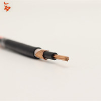0,6/1KV cable concentrico 2x6 2x4 2x10 2x16 2x6 + 1x8 AWG Cables concéntricos