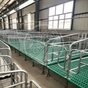 Nuevo Jaula de Gestación Automática para Cerdas, de Acero Galvanizado de Alta Resistencia, con Suelo Compuesto <span class=keywords><strong>BMC</strong></span>, Conjunto Completo para Granjas de Cerdos - Product Image 6