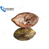 Machine de récolte de fèves de cacao frais et de taraudage à moteur
