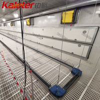 Équipement de ferme avicole automatique Système d'alimentation à chaîne pour poulets de chair, parents, poulailler, poulailler et maison d'éleveur