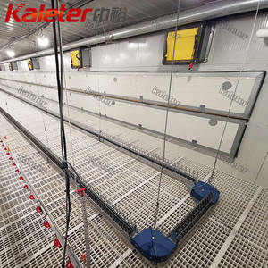 Broiler ebeveyn yetiştiriciliği için otomatik tavuk çiftlik ekipmanları kanatlı zincir besleyici sistemi Coop tavuklar ve damızlık ev besleme hattı - Product Image 4