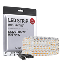 Nuevo y Popular LED Direccionable Individualmente RGBWW RGBNW RGBCW 144Ledm SK6812 12V RGBW