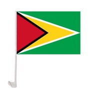 Drapeau de voiture personnalisé Nx Haïti Coupe du monde de football Drapeau national 30x45cm Drapeau de voiture Impression numérique Polyester Drapeaux pour voitures