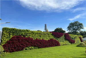 Sistema de Jardín Vertical Hidropónico con Autorriego, Ecológico y Duradero, Maceta para Plantas de Pared Verde - Product Image 6