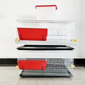 Cages à Cailles Commerciales à Prix Abordable pour l'Élevage de Cailles avec Système d'Abreuvement Automatique - Product Image 4