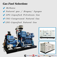 Groupe électrogène silencieux à turbine au gaz naturel 500 kW 625 kVA avec moteur Cummins/Weichai, fabrication OEM/ODM en Chine pour l'exploitation pétrolière et minière