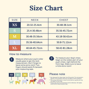 Grosir rompi <span class=keywords><strong>Harness</strong></span> anjing sesuai dada <span class=keywords><strong>Harness</strong></span> hewan peliharaan reversibel Set mewah Fashion bernapas Dachshund - Product Image 3