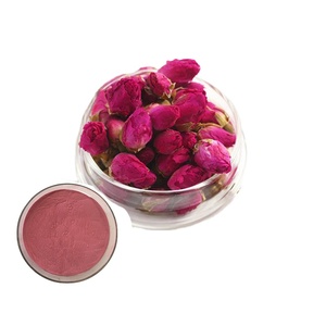 Polvo de extracto de Roselle concentrado de hibisco Soluble en agua Longze - Product Image 3