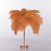 Lampe de table créative en plumes, lampe de chevet pour chambre à coucher, lampe de nuit décorative moderne INS, ambiance chaleureuse