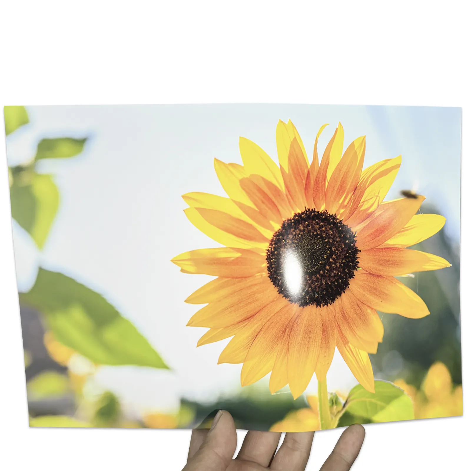 Premium A3 A4 boyutu 260gsm aydınlık mürekkep püskürtmeli parlak fotoğraf kağıdı 20 Sheets/çanta su geçirmez RC fotoğraf kağıdı 240g RC malzeme