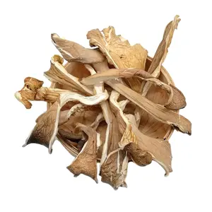 Factory Price Dried Pleurotus Ostreatus Oyster Mushroom Customize Oyster Mushroom Grow Kit Dehydrated Mushroom