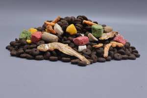 Makanan Sehat Protein tinggi organik rendah lemak kucing makanan gandum besar 10kg multibentuk berbagai rasa tas makanan kering tanpa warna buatan - Product Image 2