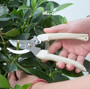 High Quality Garden Scissors Hedge Shears Manual Hand Small Pruning Shears Bypass Tree Cutter Branch Scissors Anti -slip CN;ZHE