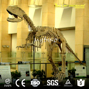 <span class=keywords><strong>Esqueleto</strong></span> <span class=keywords><strong>de</strong></span> Dinosaurio <span class=keywords><strong>de</strong></span> Fibra <span class=keywords><strong>de</strong></span> Vidrio <span class=keywords><strong>de</strong></span> Yangchuanosaurus - Product Image 2