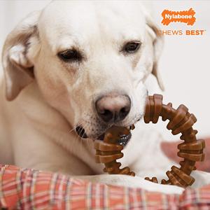<strong>Nylabone</strong> Power <strong>Chew</strong> Textured Dog <strong>Chew</strong> Ring <strong>Toy</strong> Tough and Durable Dog <strong>Chew</strong> <strong>Toy</strong> for Aggressive Chewers Flavor Medley Large Souper