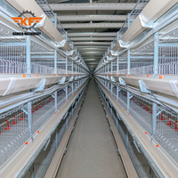 Oferta Especial: Nueva Jaula Automatizada Tipo H para Gallinas Ponedoras, Equipo de Cría de Aves de Corral, Jaula de Batería para Granja Avícola 50000