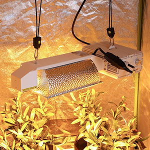 <span class=keywords><strong>Lampe</strong></span> à <span class=keywords><strong>halogène</strong></span> à spectre complet 1000W HPS <span class=keywords><strong>pour</strong></span> la culture des plantes, <span class=keywords><strong>lampe</strong></span> au sodium haute pression, éclairage hautement efficace - Product Image 4