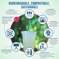 Pailles simples colorées PLA certifiées en usine pailles pliables à bouche plate pour cocktails paille PLA biodégradable jetable
