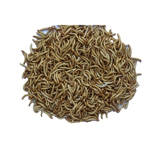 Manufacturers Wholesale <strong>Sale</strong> Fine Processing Microwave Dried Pellet Shape 100% Natural Protein Dry Mealworms Yellow Food - Product Image 1