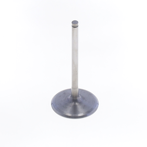 ATHENA Intake Valve-Italy - Product Image 1