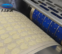 Nouvelle ligne de production de biscuits et de gâteaux entièrement automatique de la marque SKYWIN, prix d'usine, haute efficacité, machines alimentaires de qualité supérieure