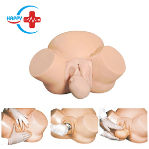 HC-S307 maniquí de enseñanza de ciencias médicas modelo de entrenamiento avanzado de partería, trabajo obstétrico y modelo de entrenamiento de partería - Product Image 2