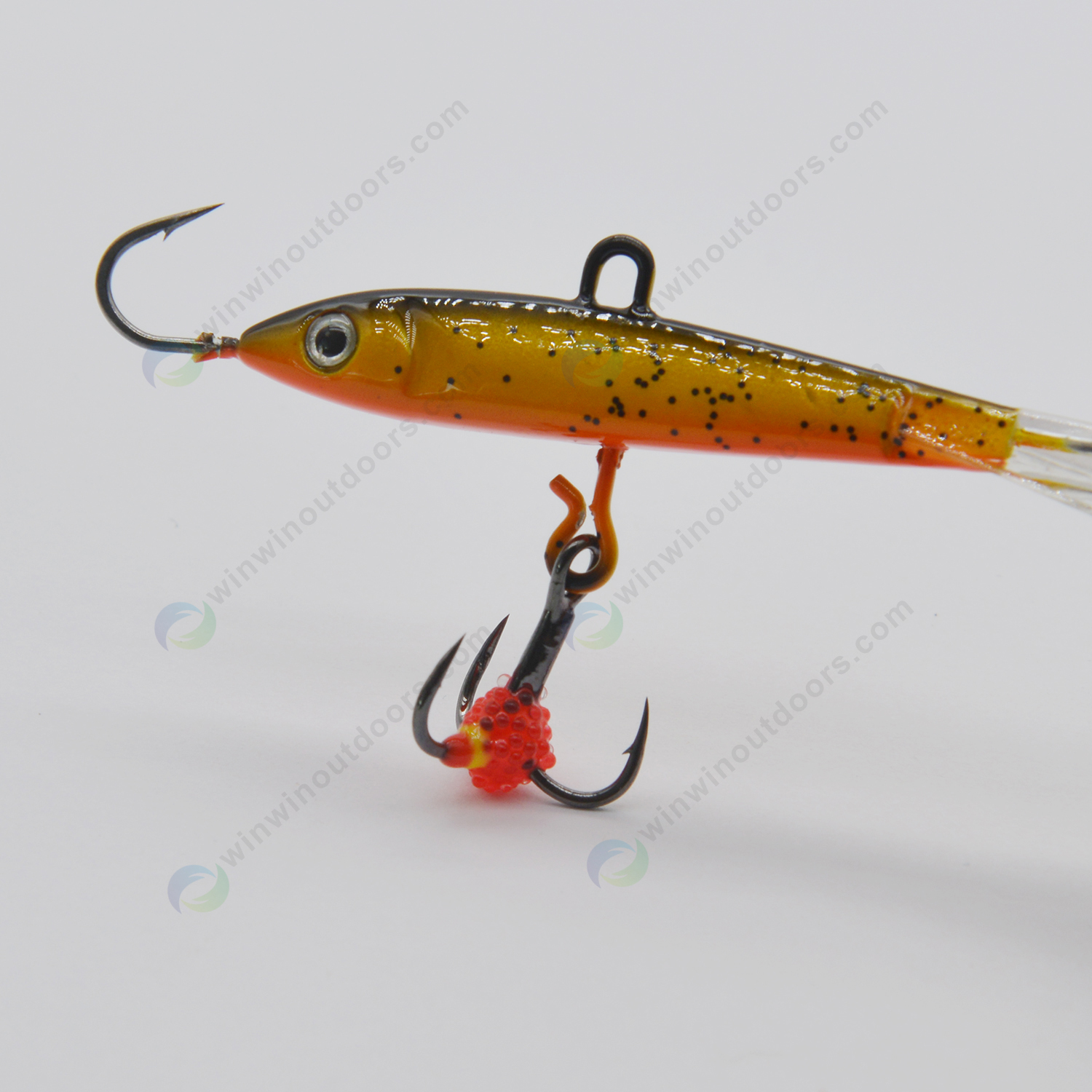 common bamboo for fishing poles Phyllostachys aurea Fish pole Bamboo, Golden Bamboo