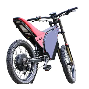 Beliebtestes Motorrad elektrischer Umbaukit E-Bike 5000 W Hintermotor mit Motorradsitz Bomber-Bike