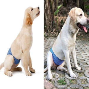 Pantalons sanitaires pour chiens, tissu non tissé respirant pour chiens mâles, utilisation quotidienne, pantalons de sécurité pour animaux de compagnie de couleur unie - Product Image 3