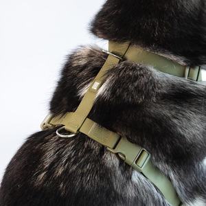 Sunraymascota 제조업체 인기 판매 방수 PVC 강아지 하네스 쉬운 산책용 리드줄 하네스 세트 - Product Image 4