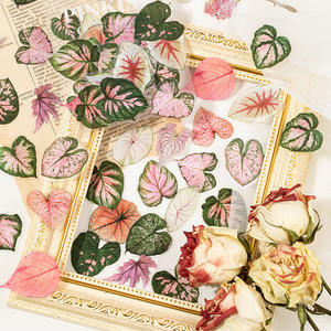 40 pcs/pack PET Sticker Pack Twenty-four Years of Dream Series Simulation Leaves Theme Handbook Valley Beauty DIY Decorative - Product Image 4