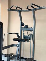 Équipement de gym professionnel haut de gamme pour usage commercial, vente en gros directe usine, machine d'assistance pour tractions et dips