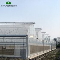 Serre en plastique multi-spans de grande taille pour l'agriculture commerciale, cadre métallique, serre extérieure GT